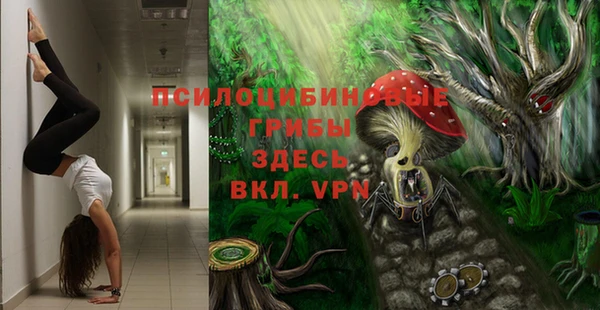 герыч Арсеньев