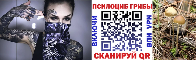 Галлюциногенные грибы Psilocybe  Мензелинск 
